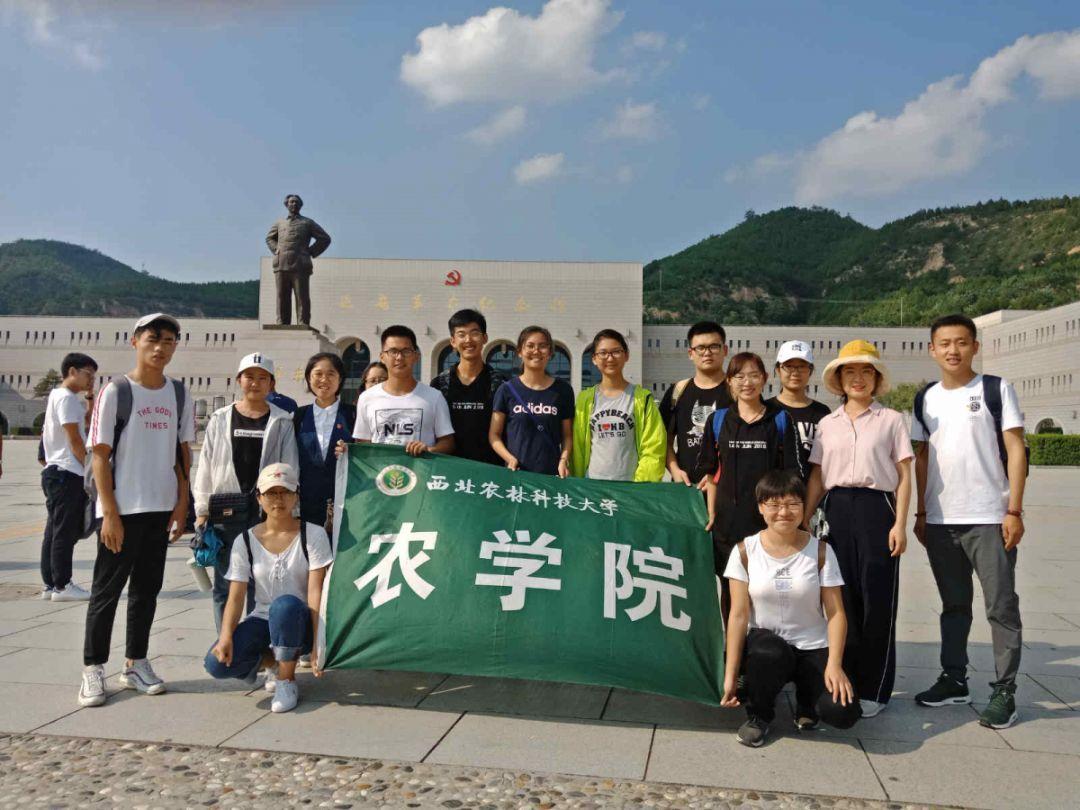 失落城堡